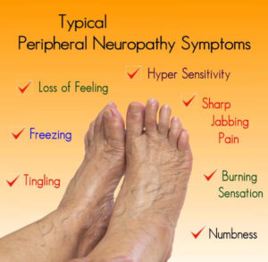 Nerve & Circulation Support- Neuropathy Relief - The Latest New Web ...